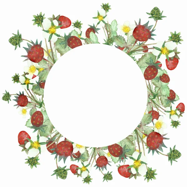 赤い野生のイチゴ 白い花と緑の葉の花束と水彩手描きの自然円枠枠招待状とグリーティングカードのための白い背景に — ストック写真