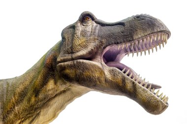 t-rex dinozor