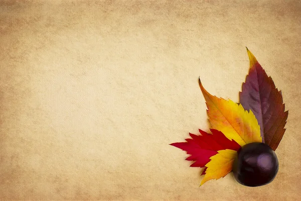 レトロな秋の背景の設定 — ストック写真