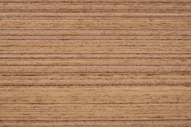 Teak ahşap arka plan doku