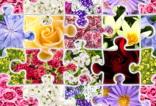 Flowers Spring Collection Seamless Puzzle — Stock Photo, Image