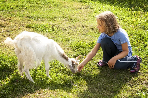 Girl Feeding Goat 2 — Stock Photo, Image