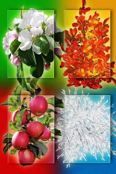 Collage Four Pictures Representing Each Season Spring Summer Autumn ...