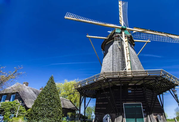 Watermill Hollandalı peyzaj