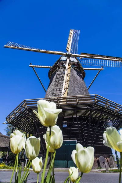 Watermill Hollandalı peyzaj
