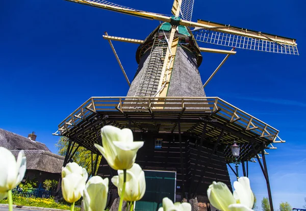 Watermill Hollandalı peyzaj
