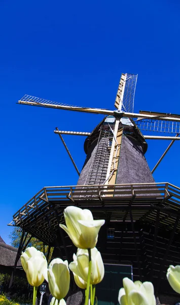 Watermill Hollandalı peyzaj