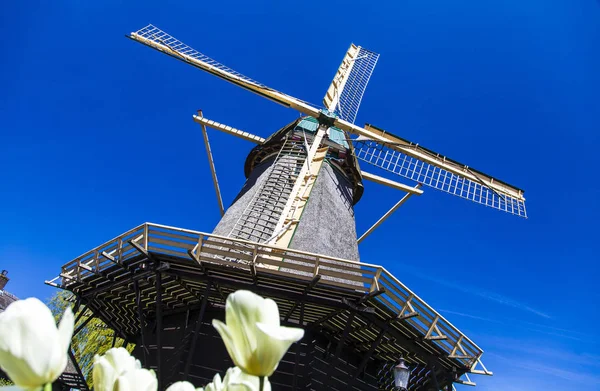 Watermill Hollandalı peyzaj
