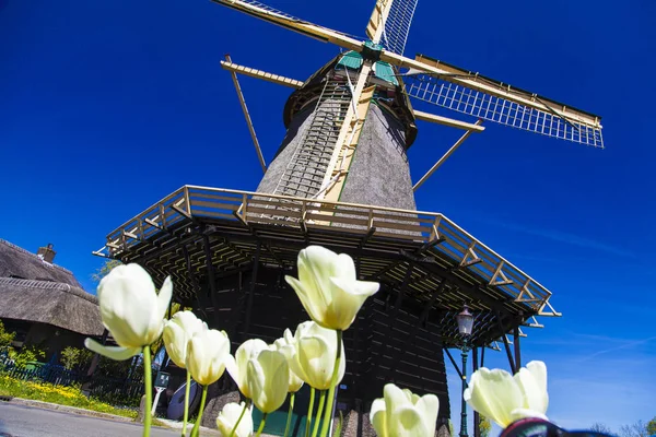Watermill Hollandalı peyzaj