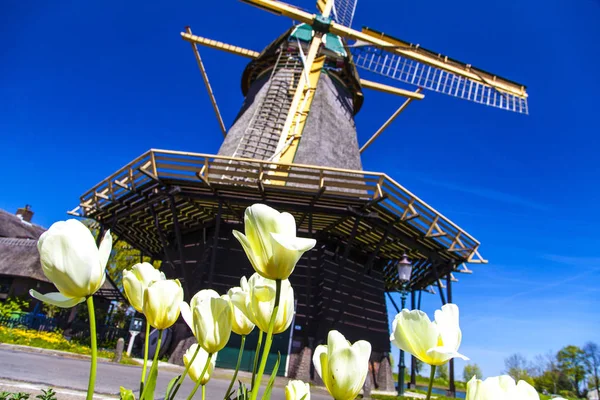 Watermill Hollandalı peyzaj
