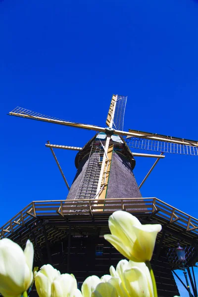 Watermill in the dutch landscape — Stock Photo, Image