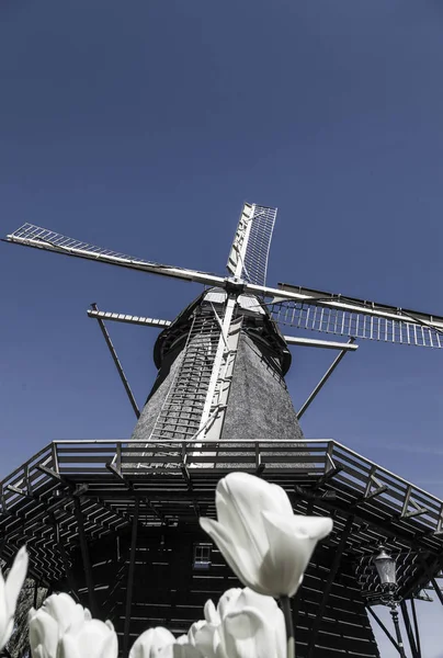 Watermill Hollandalı peyzaj