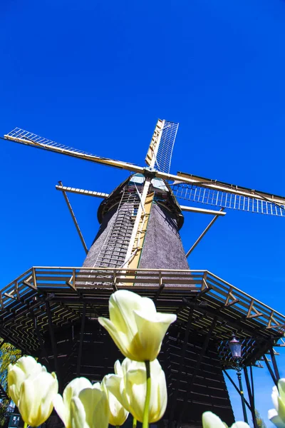 Watermill Hollandalı peyzaj