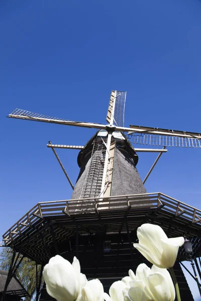 Watermill Hollandalı peyzaj