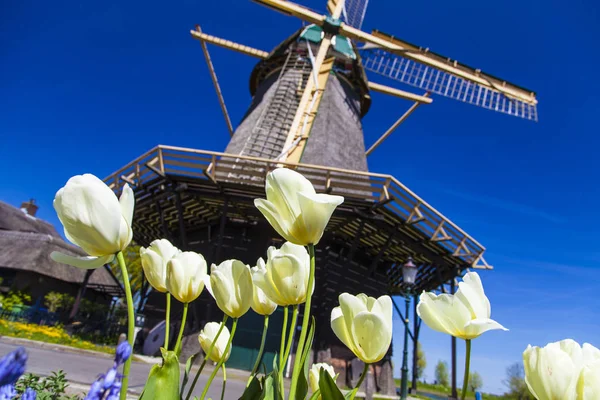 Watermill Hollandalı peyzaj