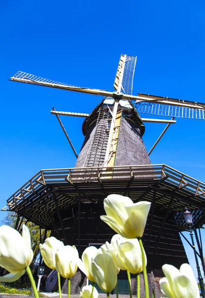 Watermill Hollandalı peyzaj