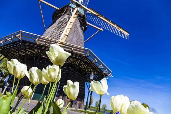 Watermill Hollandalı peyzaj