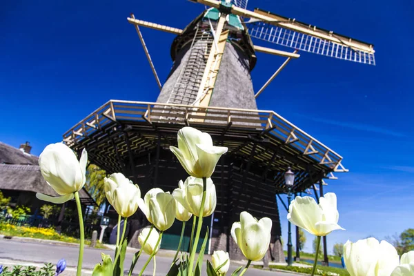 Watermill Hollandalı peyzaj