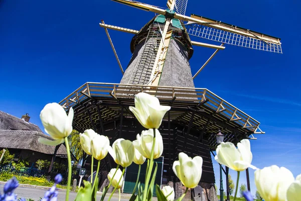 Watermill Hollandalı peyzaj