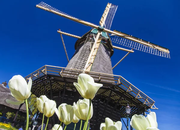 Watermill Hollandalı peyzaj