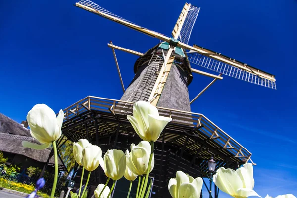 Watermill Hollandalı peyzaj