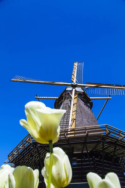 Watermill Hollandalı peyzaj
