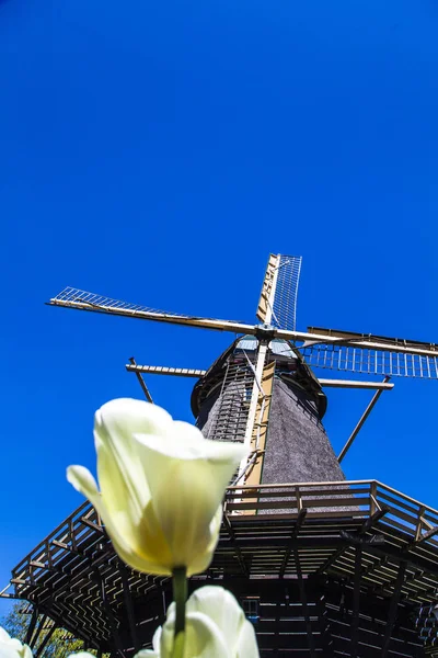 Watermill Hollandalı peyzaj