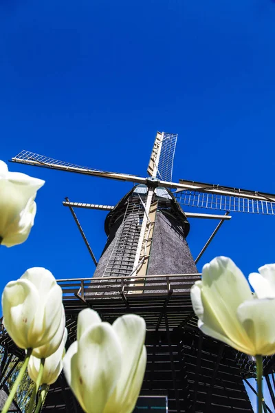 Watermill Hollandalı peyzaj