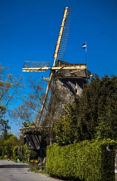 Watermill Hollandalı peyzaj