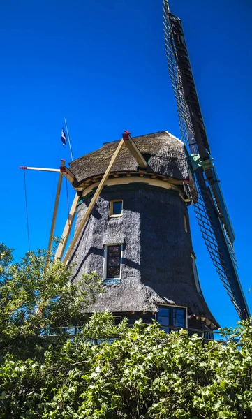 Watermill Hollandalı peyzaj