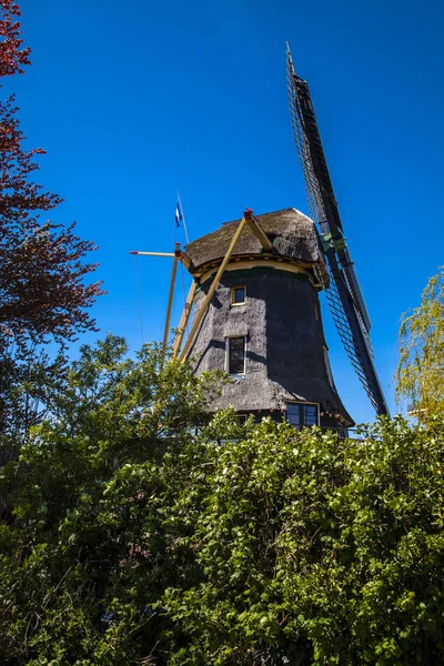 Watermill Hollandalı peyzaj