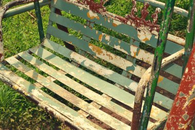 Güzel çift Marigold Çiçeği açıyor