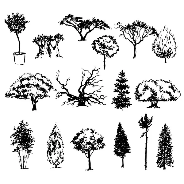 Hand drawn trees sketch set — Stock Vector