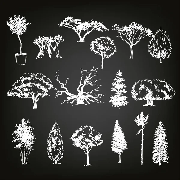 Hand drawn trees sketch set — Stock Vector