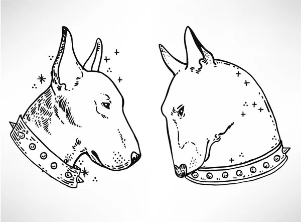 Twee hoofden van Bullterrier mascotte — Stockvector