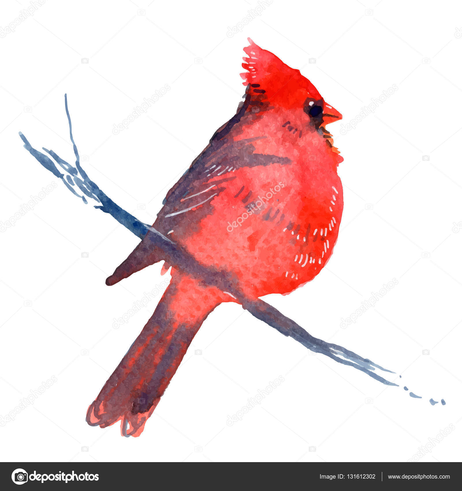ᐈ Cardinal Bird Clip Art Stock Pictures Royalty Free Cardinal Bird Drawings Download On Depositphotos