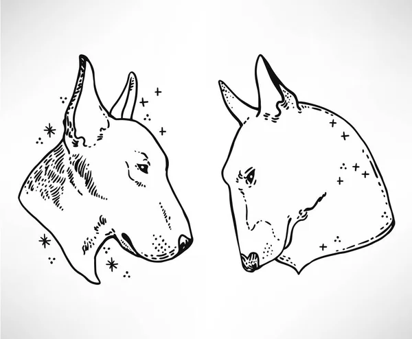 Bullterrier 마스코트의 두 머리 — 스톡 벡터