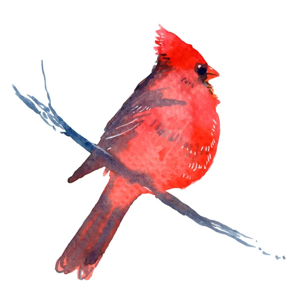 3 116 Cardinal Bird Vector Images Cardinal Bird Illustrations Depositphotos 3 116 Cardinal Bird Vector Images Cardinal Bird Illustrations Depositphotos