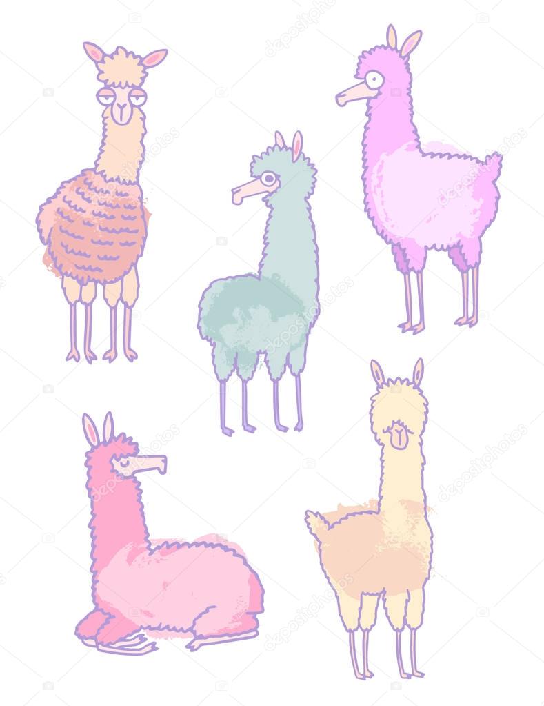 set of cute lamas