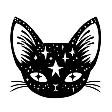 Cadının kedi beyaz arka plan üzerinde