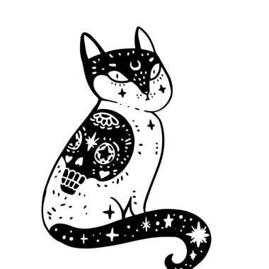 Cadının kedi beyaz arka plan üzerinde