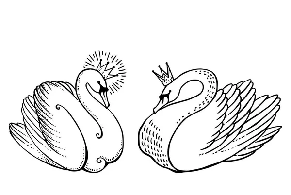 Два лебедя в коронах — стоковый вектор