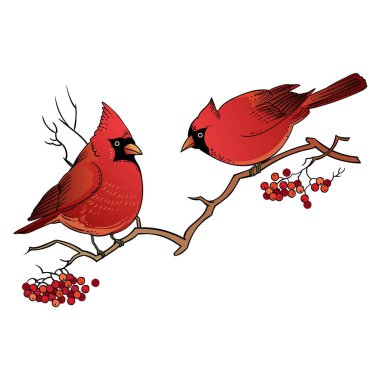 vektör çizim tasarım güzel el retro Noel kartı kuşlar ile şube üzerinde çizilmiş.. 