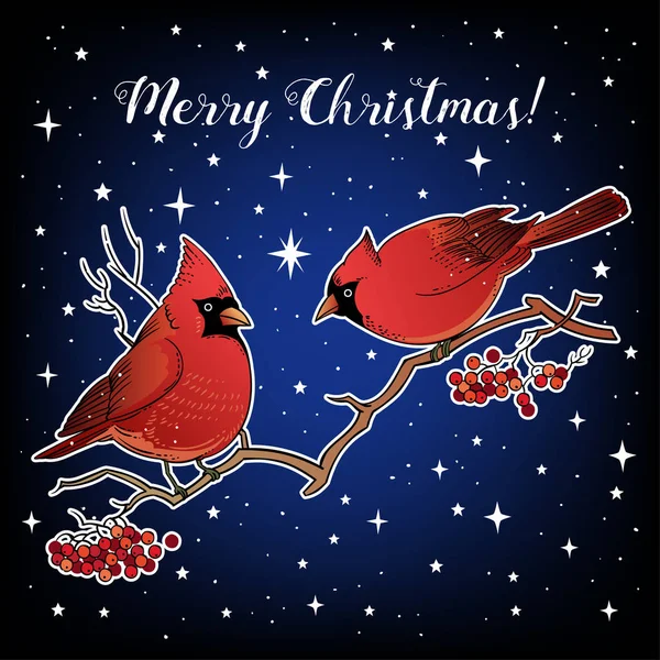 Vektor Illustration Design Von Schönen Handgezeichneten Retro Weihnachtskarte Mit Vögeln — Stockvektor