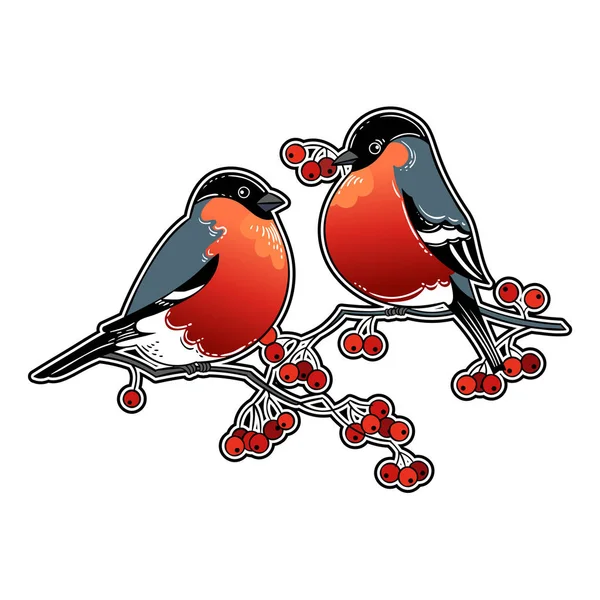 Vector Illustration Design Beautiful Hand Drawn Retro Christmas Card Birds — Stock Vector