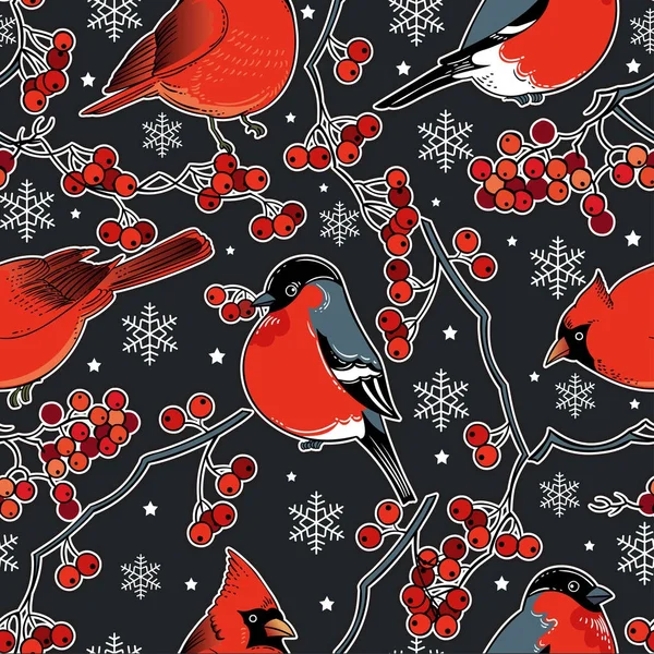 Vector Illustration Design Beautiful Hand Drawn Retro Christmas Birds Seamless — Stock Vector