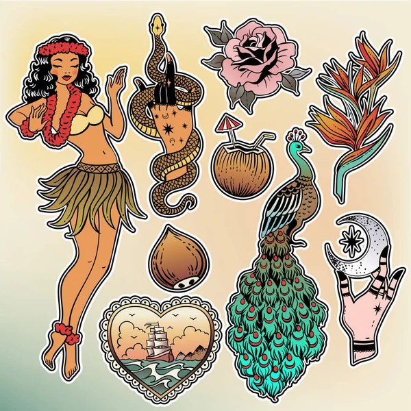 Diseño Ilustración Vectorial Tropical Exotic Sea Set Hawai Parches Pin — Archivo Imágenes Vectoriales