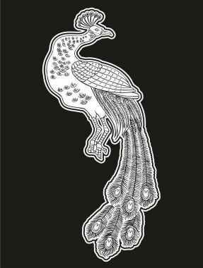 Güzel uyutulmayı el çizim tavus kuşu. Tropik kuşu.