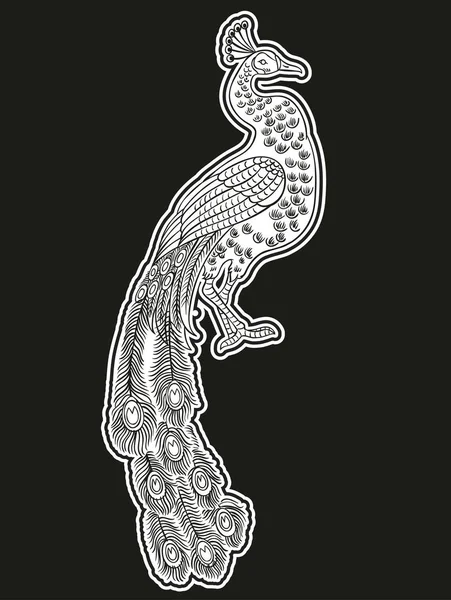Красивый Линейный Ручной Рисунок Павлина Тропические Птицы — стоковый вектор