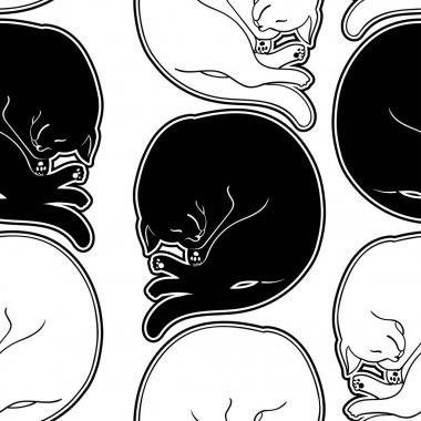 Vektör uyku kedi. Karanlık dövme illüstrasyon. Tasarım logo, davet, parti, kağıt, desen ve vb için